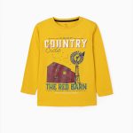 Slim long-sleeved blouse for boys yellow ZIPPY